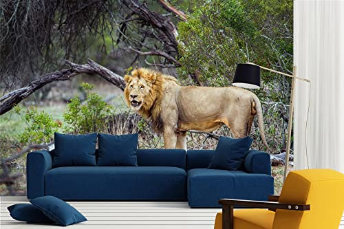 Vlies Fototapete WILDER LÖWE 375 x 250 cm (inkl. Kleister) - Vlies Tapete, Wandtapete, Wandbilder - Tapete für Wohnzimmer Schlafzimmer, Büro, Küche - Montagefertig