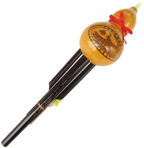 Flûte Hulusi Instrument D'apprentissage Hulusi À Double Ton Fleur De Paon