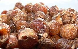 Indische Waschnüsse im 1kg Beutel BIOVA