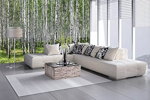 Vlies Fototapete BIRKEN 375 x 250 cm (inkl. Kleister) - Vlies Tapete, Wandtapete, Wandbilder - Tapete für Wohnzimmer Schlafzimmer, Büro, Küche - Montagefertig