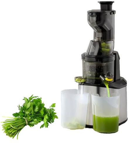 Bärbar presspresspressare, kallpressjuicer, centrifugaljuicer, fruktgrönsaksjuicextraktor
