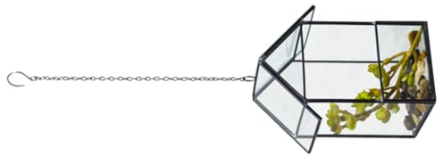 Hohopeti Stilvolles Glasblumenhaus im Haus Design mit Hängeketten für Sukkulenten Aufbewahrungsbox aus Glas im Goldenen Schnitt für Büro und Zuhause