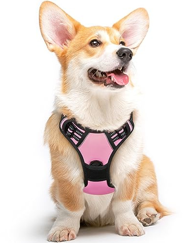 Eagloo Harnais Chien, Harnais Anti Traction pour Chien, Rose, M | avec Poignée Contrôle, Bandes Réfléchissantes, Maille Respirante Solide, Facile à Mettre, Réglable, pour Chiens Moyens Grands