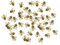 JIHUOO 30 Pcs Tiny Resin Bees Small Resin Honeybee Nail Charms Bumblebee Flatbacks Ornaments Embellishments Nail Art Decorations
