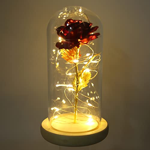 Rosa La Bella E La Bestia, Rosa Eterna in Cupola di Vetro, Simbolismo Fortunato Bello Romantico Rosa Incantata Regali Romantici con Luce a LED Per Compleanno Anniversario di Matrimonio(Rosso scuro)