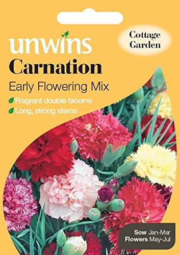 Unwins Pictorial Packet - Carnation Early Flowering Mix - 100 Seeds