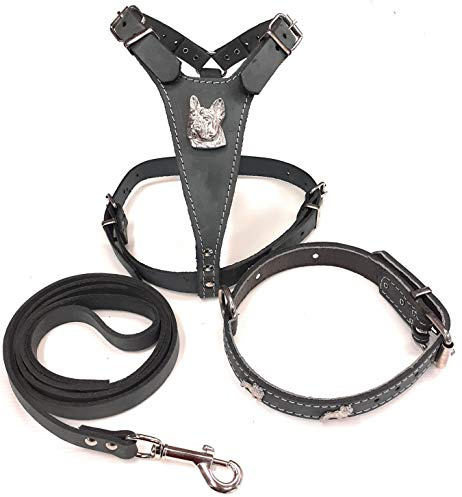 Schönes Hundegeschirr, Halsband und Leine, Leder, Größe M, mit französischen Bulldoggen-Abzeichen, Grau