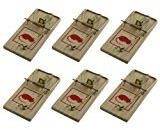 Marke New traditionellen 12 PC wiederverwendbar aus Holz Mausefalle/Mäuse Killer – kein Gift notwendig – Einfach zu benutzen und reusable- nicht ein Spielzeug von Kinder fernhalten