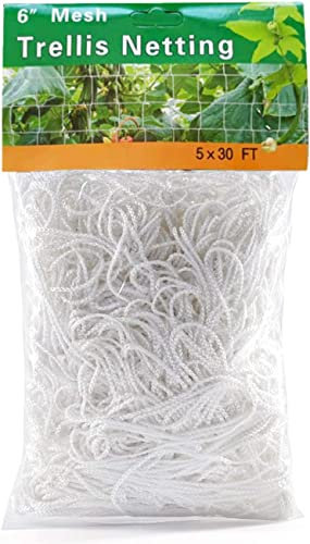 KAHEIGN 1.67m x 10m Garden Netting Polyester Trellis Net Plant Pea Support Netting for Bean Fruits Plants Flower Climbing (White)