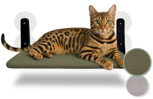PiuPet® Fönsterhängstol för flytande katt - Hopfällbar och platsbesparande katthängstol med sugkoppar I Vändbar hängmatta för fönster I Kattbädd upp till 20 kg (Grön, Stor)