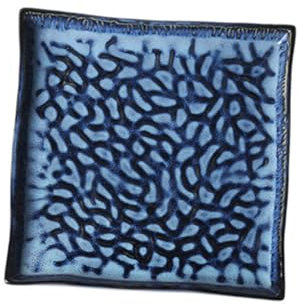 COLLBATH Embossed Ceramic Sushi Plate Square Plate for Home Serving Pasta Fish Fruit Dishes Tray
