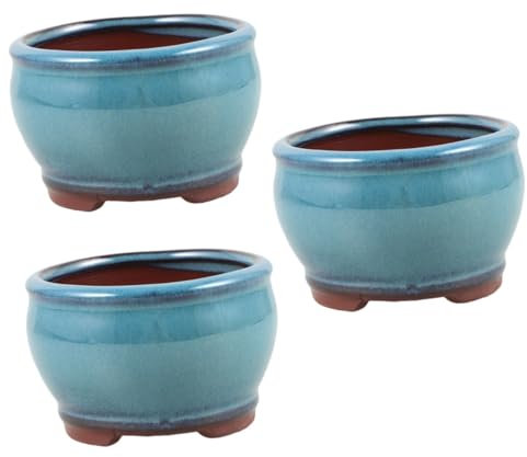 Sosoport 3 Pz Pianta succulenta di asparagi in vaso fioriera da balcone Piantatrice di cactus piccolo vaso per fioriere per piante grasse da fioriera da tavolo argilla viola