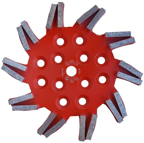 WEFARU Diamant Schleifteller SHB100 Ø 250 mm für sehr harte Böden – Profi Bodenschleifteller mit 20 Segmenten – geeignet für GÖLZ, Blastrac, Clipper, SM250 u.v.m.