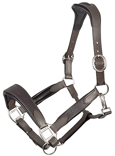 PFIFF 102924 Halfter Sobria, Lederhalfter mit Prägung, Weiche Polsterung, Braun Cob/Vollblut