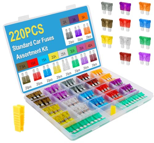Giwiemi 220Pcs Standard Fuse Kit with 11 Sizes (2A - 40A) - Premium Car Fuses Assortment Kit, Ideal Automotive Fuses for Cars, Trucks & Motorcycles