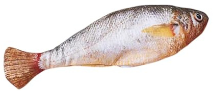 kinrguiyuez Roboter-Fisch-Katzenspielzeug – Katzenspielzeug, Selbstunterhaltung, interaktives Wackeln, Springen, elektrischer Fisch für Indoor-Kitty-Schleifen