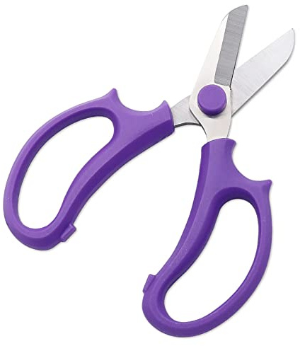 KIMISS Forbici da Fiorista Piccole e Leggere in Acciaio Inossidabile con Lame Incisive per l'orticoltura e la Potatura dei Fiori - Forbici da Giardino con Impugnatura Comoda (PURPLE)