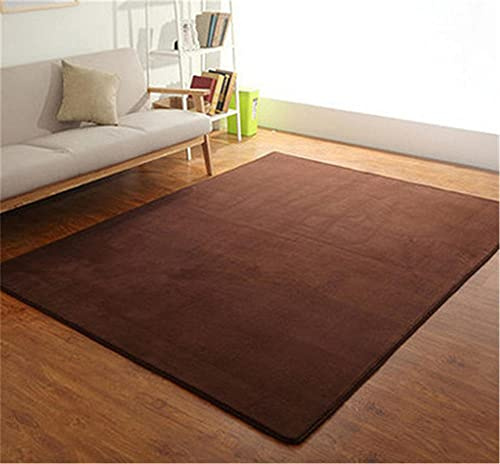 Alfombra de Terciopelo Coral Grueso de Color sólido Calidad Marrón oscuro grande Suave Lavable Antideslizante Grande Rugs Minimalista Moderna Sala De Estar Dormitorio Tatami Gateando Estera -100×200cm