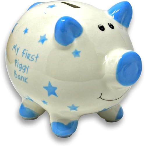 Ceramic Piggy Bank | Blue Pig design | 1 Pc