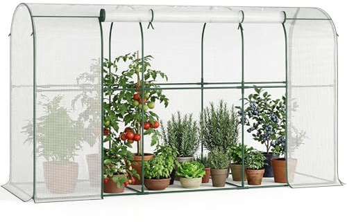 Gewächshaus - 300x100x170 cm - Begehbarer Tomatengewächshaus Foliengewächshaus für Pflanzen - Stabil, UV-Beständig, Optimales Pflanzenwachstum - Frühbeet, Gemüse, Blumen, Obst