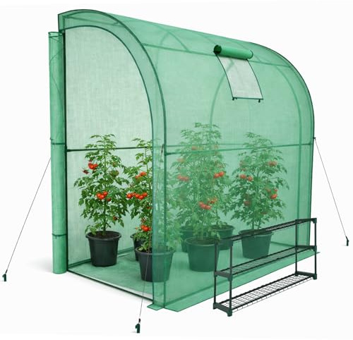 KANWOD Serra a Parete da Giardino con Scaffale, Finestra e 2 Porte Avvolgibili, Invernale, Robusta, Stabile e Facile da Montare, Serra orto per Protezione Piante, Verdure, Fiori 200x100x210 cm, Verde