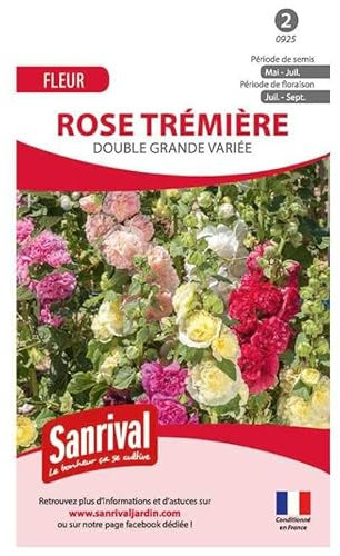 Graines de Rose Trémière