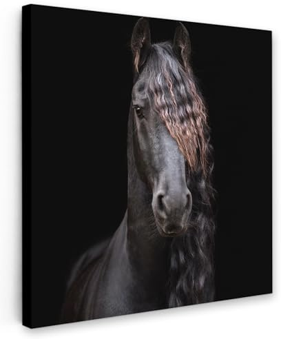 MuchoWow© Leinwand Bilder, Einzigartige Wanddeko mit Rahmen, Pferde | 90x90 cm - Friesisch - Mähne - Schwarz - Tiere, Wandbilder Wohnzimmer, Deko Schlafzimmer