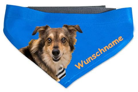 Kiwistar - Hundehalstuch L - personalisiert mit Foto und Wunschtext - individuell Bedruckt - Geschenkidee für Hunde - Halsband Tuch zum Selbstgestalten - Accessoire für Haustiere