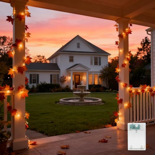AdalyRoma Guirnalda de Luces Decorativa con 20 Hojas de Arce, 3M, LED Blanco Cálido, 2 Modos de Iluminación, Funciona con Pilas, para Otoño, Halloween, Navidad, Fiestas