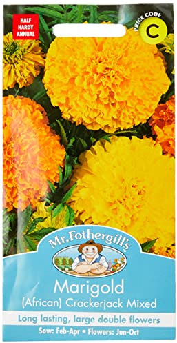 Mr Fothergill?s Seeds Ltd 24949 Flower Seeds, Marigold (African) Crackerjack Mixed