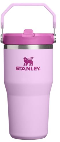 STANLEY Unisex's The IceFlow Flip Straw Jug