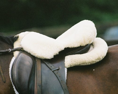 Engel Reitsport | Sattelsitzbezug Sattelauflage echtes Merino Lammfell SABEZ1 für englische Reitsattel