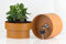 Castell Deco - Coffre-fort en forme de pot, camouflé avec clé, 4 couleurs, coffre-fort camouflé (marron)