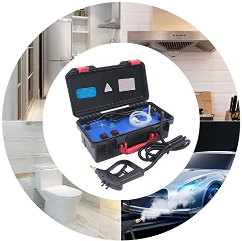 Pulitore a vapore portatile, a vapore ad alta temperatura, ecologico, 3000 W, 130 °C, 220 V