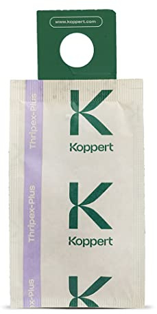 Thrip Killer sachets x100 - Amblyseius Cucumeris Predator Mites for Biological Control