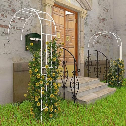 LIYI929GP Metall Hochzeitsbogen Dauerhaft - Groß Wandbogen Rosenbogen Halbbogen - Hochzeit Torbogen Blumenständer Rankgitter Rosenhilfe Rosenspalier - Gartenbogen Rahmen Für Roses Vines Gartenzubehör