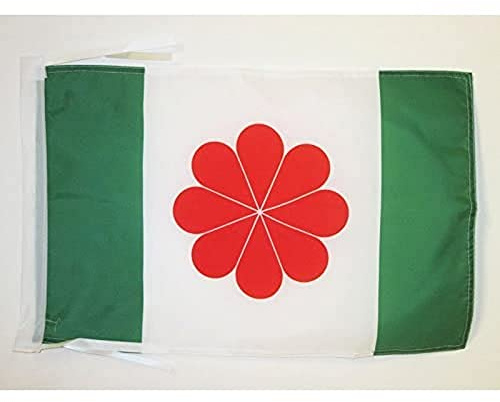 Drapeau Taïwan indépendantiste 45x30cm - PAVILLON taïwanais nationaliste 30 x 45 cm haute qualité - AZ FLAG | Usage intérieur et extérieur Drapeau décoratif taïwanais nationaliste coutures doubles et bords renforcés