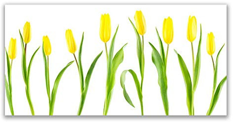 Tulup Acrylic Glass Print 120x60cm Wall Art - Wall Picture Plastic Acrylic Glass - Tulips Floral