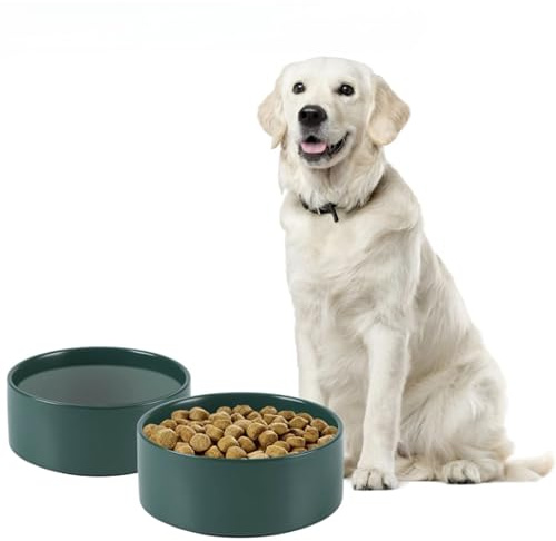 Ciotola per cani in ceramica per cani di grossa taglia 20-6 oz, ciotola per cibo e acqua per animali domestici con base in silicone, lavabile in lavastoviglie, protegge la colonna cervicale - verde