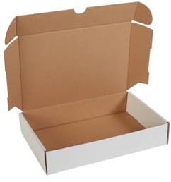 packster 200x Maxibriefkarton Versandschachtel weiß 240 x 160 x 48 mm Steckverschluss Weiss Post Faltschachtel