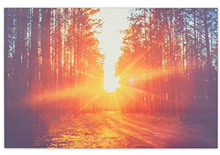 Klarstein Infrarotheizung mit Thermostat, 580W Elektroheizung, Bild-Infrarotheizung zur Wandmontage, IR Paneel mit Fernbedienung & Timer, Feuchtraum Flach-Heizkörper, CO2-Freie Wand Heizung