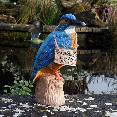 Kayleigh the Kingfisher 25 cm Resin Garden Fishing/Pond Ornament