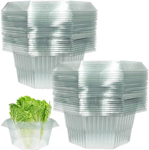 20 Stück Schneckenkragen,Schneckenschutzring Für Salatpflanzen,Schneckenkragen aus Plastik,Schneckenzaun Stabil aus Plastik,Schneckenschutzringe,Schneckenring Garten Effektiver Schneckenschutz