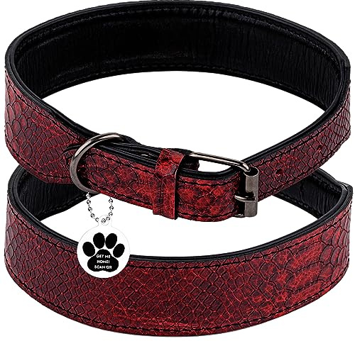FAVPET Luxus Echtleder Halsband Hund Breit mit QR Code Anhänger, Gepolstertes Hundehalsband Leder Breit, Breites Lederhalsband Hund, Breite Hunde Halsbänder, Welpenhalsbänder Leder (Rot, XS)