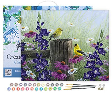 Figured'Art Peinture par Numéro Adulte avec Cadre Couple de chardonneret - Activité Manuelle Kit de Loisir Créatif DIY Numéro d'Art Complet - 40x50cm toile tendue sur châssis