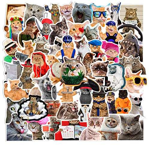 66 Stück Lustige Katze Aufkleber für Koffer, Skateboard, Laptop, Computer, Wasserflaschen, Auto, Teenager, Jungen, Mädchen, Aufkleber, wasserdicht