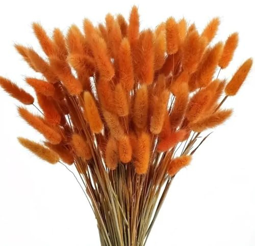 MHDAMAI Getrocknetes Pampasgras,Kaninchenschwanz Gras 60 Stück Natürlicher Trockenblumen Blumenstrauß Deko Künstlich Groß Trockenblumen Pampasgras für Inneneinrichtungen Fotografie Hochzeit Orange