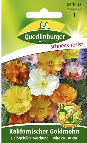 Kalifornischer Goldmohn, Eschscholzia californica, ca. 150 Samen
