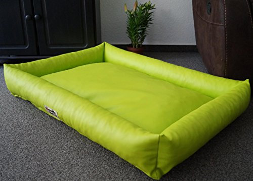 Cani cani divano spazio reversibile completo in finta pelle Picobello letto Manufaktur dimensioni e colore a scelta