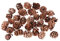 Lot de 30 petites pommes de pin rustiques naturelles – Idéal pour les travaux manuels, le remplissage de bols décoratifs et la décoration de Noël